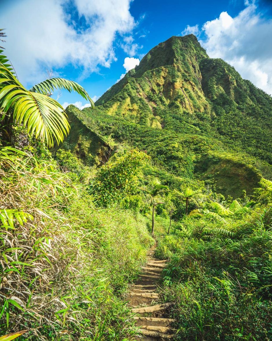Dominica Citizenship By Investment Program