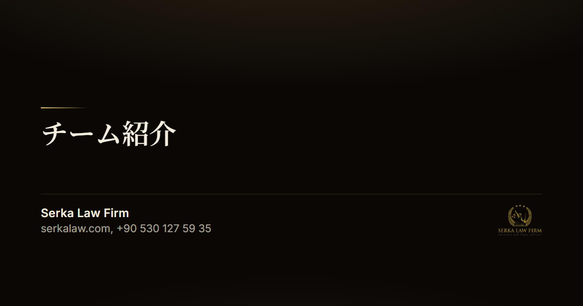 チーム紹介