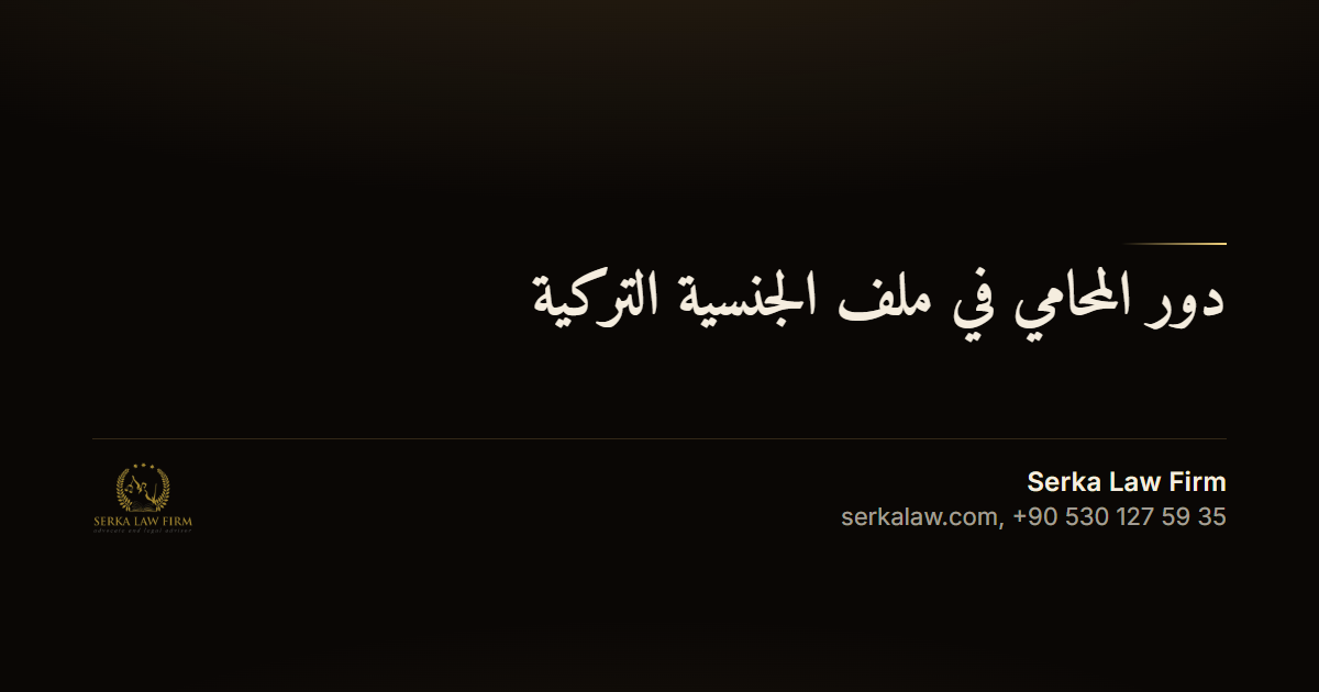 دور المحامي في ملف الجنسية التركية