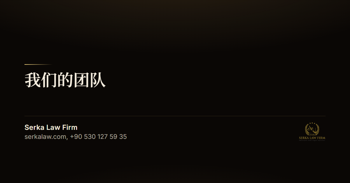 我们的团队