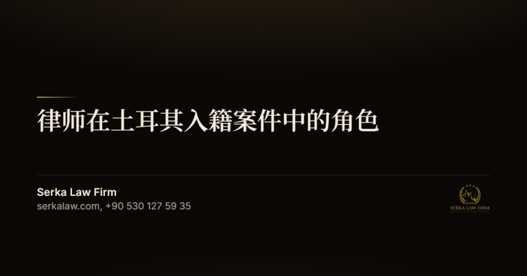 律师在土耳其入籍案件中的角色
