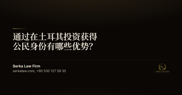 通过在土耳其投资获得公民身份有哪些优势?