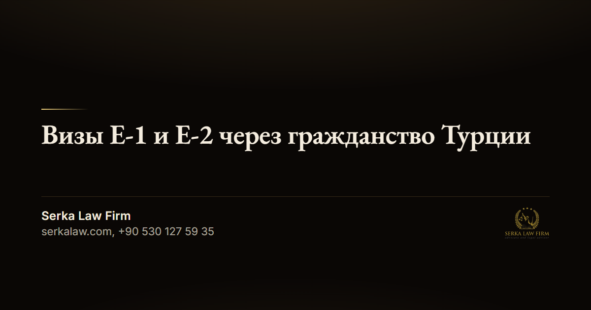 Визы E-1 и E-2 через гражданство Турции