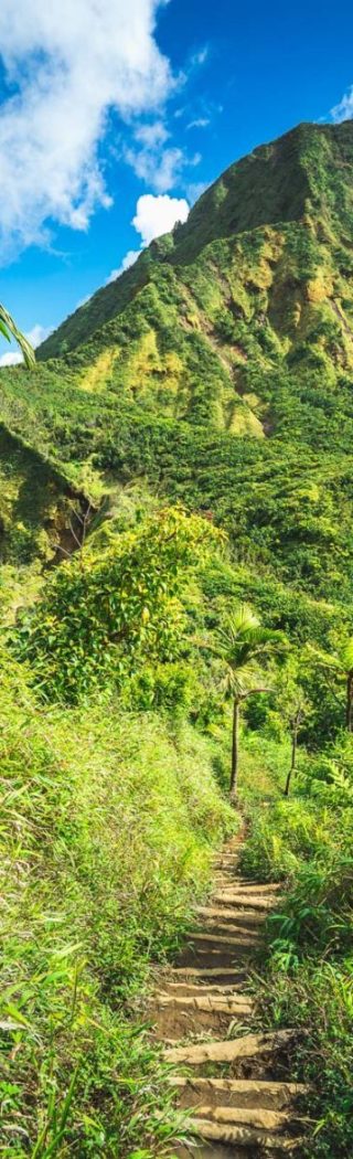 Dominica Citizenship By Investment Program